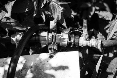 Bir bahçe hortumunun siyah ve beyaz görüntüsü kapalı bir valf ile bağlantılı, eskimiş ve güneş ışığında koyu yapraklarla çevrili..