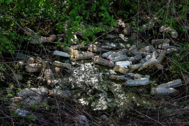 Doğaya atılmış boş bir plastik şişe yığını. Çevre kirliliği.