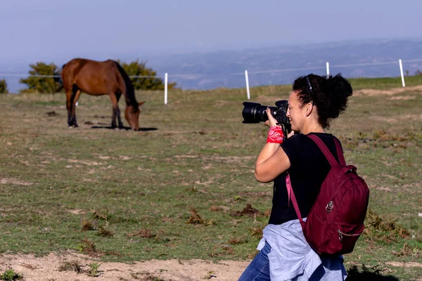 Женщина Фотограф Камерой Dslr Снимает Лошадь Сербии Солнечный День Концепция — стоковое фото