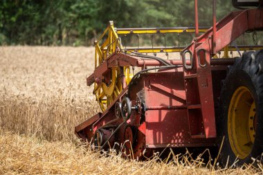 Buğday tarlasında hasatçıyı birleştirin, kesim çubuğunun detaylı görüntüsü.