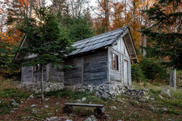 Sırbistan 'ın Tara dağındaki sonbahar ormanında ahşap bir kulübe.
