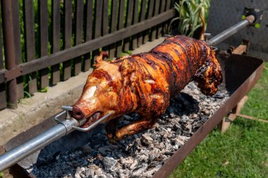 Bütün domuz rostosu açık ateşte, bahçede ızgarada, geleneksel Balkan yemekleri..