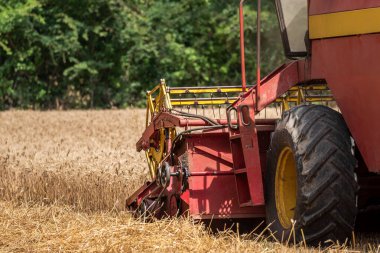 Buğday tarlasında hasatçıyı birleştirin, kesim çubuğunun detaylı görüntüsü.