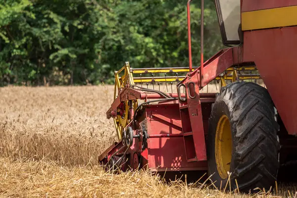 Buğday tarlasında hasatçıyı birleştirin, kesim çubuğunun detaylı görüntüsü.