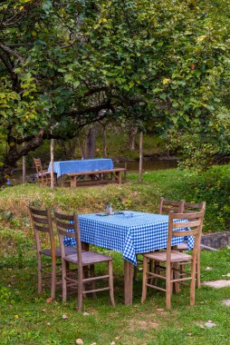 Sırbistan 'daki Gradac nehrinin gölgesinde mavi kareli masa örtüsü ve ahşap sandalyeli masa.