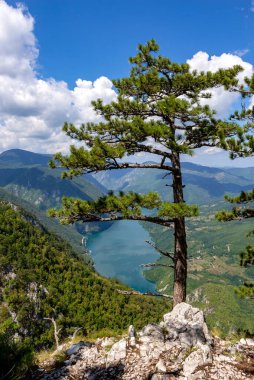Sırbistan 'daki Banjska Stena perspektifinden Perucac Gölü ve Drina nehrinin kanyonu manzarası.