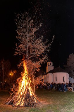 Banjani, Serbia - January 6. 2024: Traditional burning of Yule log or badnjak branches for the Orthodox Christmas Eve in front of St. Dimitrije Church.