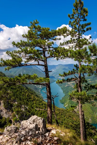 Sırbistan 'ın Tara Dağı' ndaki Banjska Stena perspektifinden Perucac Gölü ve Drina nehrinin kanyonu görülüyor.