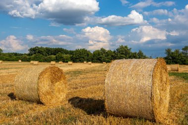 Kirli bir tarlada saman balyaları ve güneşli bir günde mavi gökyüzünde büyük beyaz bulutlar..