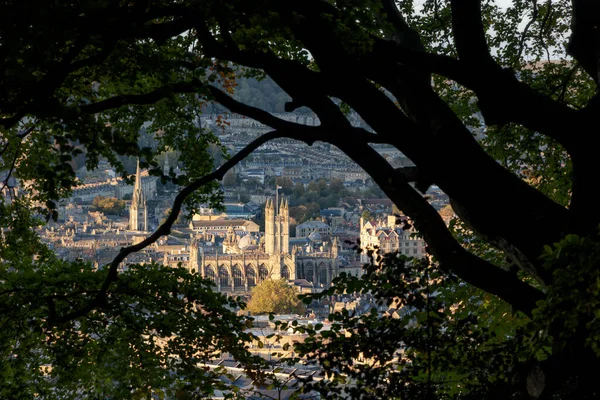 Bath Abbey Zabytki Miasta Oglądane Przez Drzewa Alexandra Park Beechen — Zdjęcie stockowe