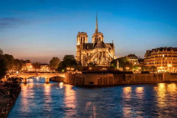 晚上的全景到巴黎圣母院 Cite — 图库照片