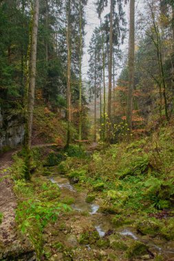 Teufelsschlucht. Hagendorf 'ta renkli sonbaharda popüler yürüyüş rotası