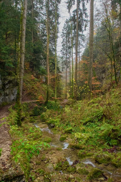 Teufelsschlucht Beliebte Wanderroute Hagendorf Bunten Herbst — Stockfoto