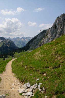 Borazan. İsviçre 'de Alp manzarası. Thun ve Interlaken yakınlarında çekilmiş..