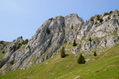 Borazan. İsviçre 'de Alp manzarası. Thun ve Interlaken yakınlarında çekilmiş..