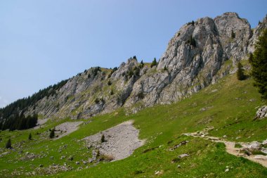 Borazan. İsviçre 'de Alp manzarası. Thun ve Interlaken yakınlarında çekilmiş..