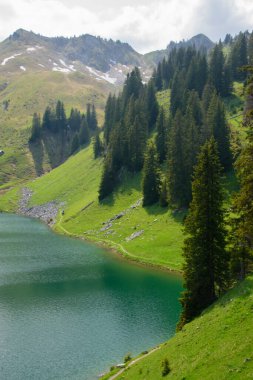 Thun ve Interlaken yakınlarındaki bir dağ gölünün panoramik görüntüsü