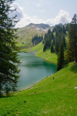 Thun ve Interlaken yakınlarındaki bir dağ gölünün panoramik görüntüsü