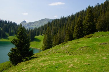 Thun ve Interlaken yakınlarındaki bir dağ gölünün panoramik görüntüsü