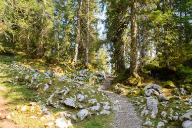 Borazan. İsviçre 'de Alp manzarası. Thun ve Interlaken yakınlarında çekilmiş..