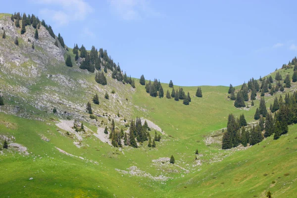 Borazan. İsviçre 'de Alp manzarası. Thun ve Interlaken yakınlarında çekilmiş..