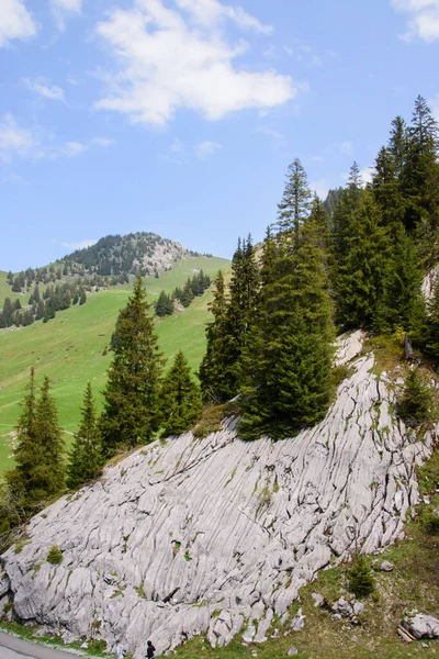 Róg Magazynowy Krajobraz Alpejski Szwajcarii Zrobione Pobliżu Thun Interlaken — Zdjęcie stockowe