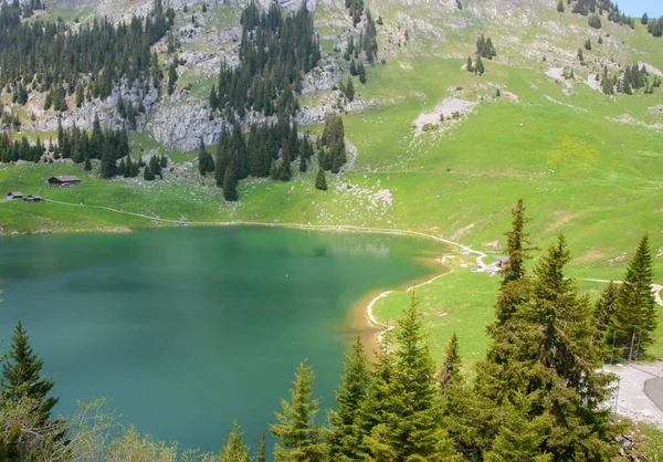 Vista Panorámica Lago Montaña Cerca Thun Interlaken — Foto de Stock