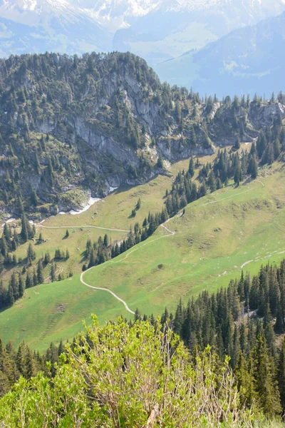 Стоунхорн Альпійський Пейзаж Швейцарії Поблизу Тун Інтерлакен — стокове фото
