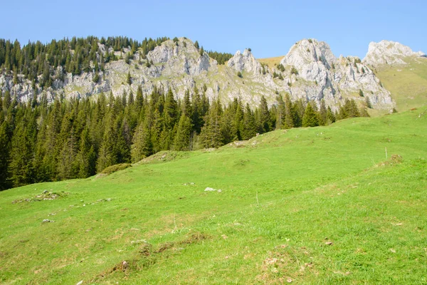 Róg Magazynowy Krajobraz Alpejski Szwajcarii Zrobione Pobliżu Thun Interlaken — Zdjęcie stockowe