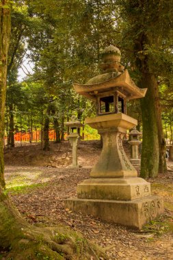 Toro, Japon Shinto tapınaklarında bulunan ve ışığı ve ruhani rehberliği simgeleyen geleneksel taş fenerlerdir.