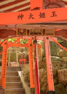 Torii, Japonya 'da kutsal bir alana girişi simgeleyen, kutsal ile kutsal olmayan arasındaki sınırı sembolize eden ikonik bir kapıdır.