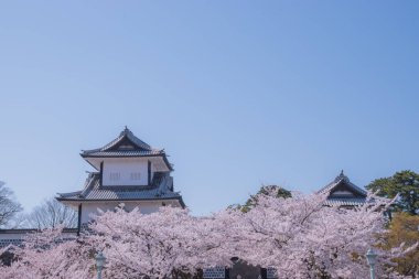 The Kanazawa Castle is renowned for its white tile roofs and traditional Japanese architecture, and together with the nearby Kenrokuen Garden, it is a popular tourist attraction. Taken in Japan, Kanazawa, 12.04.2024 clipart