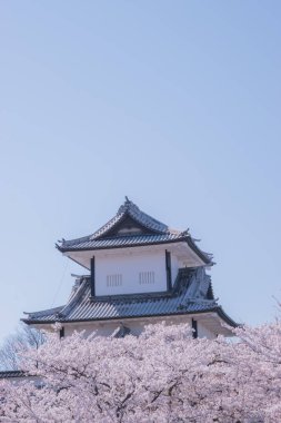 Kanazawa Kalesi beyaz kiremit çatıları ve geleneksel Japon mimarisi ile ünlüdür ve yakınlardaki Kenrokuen Bahçesi ile birlikte popüler bir turistik merkezdir. Japonya 'da çekildi, Kanazawa, 12.04.2024