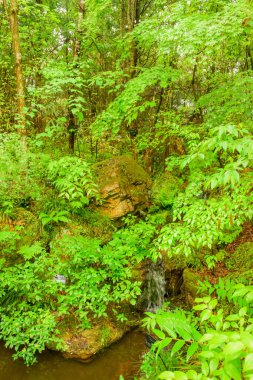 Bu botanik bahçesi, Japon doğal bitkileri ve çiçeklerini ön plana çıkarıyor, küratörlü manzaralar ve bahçıvanlık güzelliği ve korunmasını destekleyen eğitim sergilerinin yer aldığı.