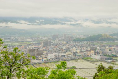 Kochi manzaralı bu botanik bahçesinde Japonların doğal bitkileri ve çiçekleri ön plana çıkartılıyor, küratörlük ve eğitim sergileri bahçıvanlık güzelliği ve korunmayı destekliyor..