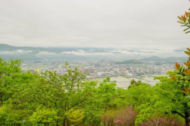 Kochi manzaralı bu botanik bahçesinde Japonların doğal bitkileri ve çiçekleri ön plana çıkartılıyor, küratörlük ve eğitim sergileri bahçıvanlık güzelliği ve korunmayı destekliyor..