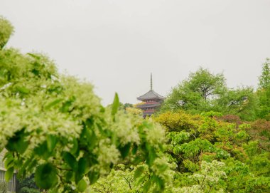 Chikurinji Temple represents Shingon Buddhism, founded by Kukai. Located near Kochi's botanical garden, it serves as a cultural and spiritual landmark. Taken in Japan, Kochi, 04.2024 clipart