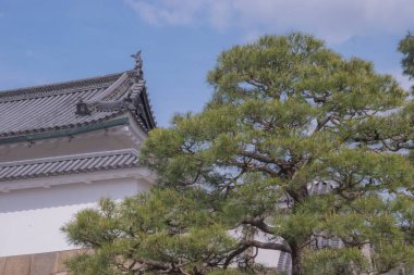 Kyoto 'daki Nijo Şatosu, nefes kesici mimarisi, bahçeleri ve zengin tarihi önemiyle tanınan UNESCO Dünya Mirası sitesidir. Japonya 'da çekildi, Kyoto, 04.2024 