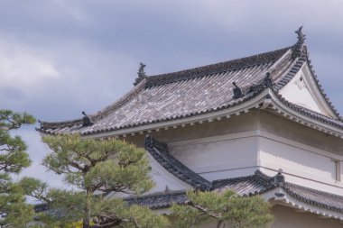 Kyoto 'daki Nijo Şatosu, nefes kesici mimarisi, bahçeleri ve zengin tarihi önemiyle tanınan UNESCO Dünya Mirası sitesidir. Japonya 'da çekildi, Kyoto, 04.2024 