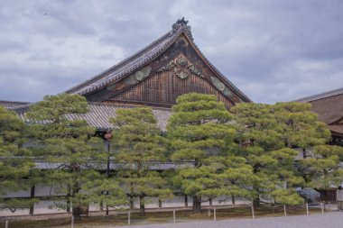 Kyoto 'daki Nijo Şatosu, nefes kesici mimarisi, bahçeleri ve zengin tarihi önemiyle tanınan UNESCO Dünya Mirası sitesidir. Japonya 'da çekildi, Kyoto, 04.2024 