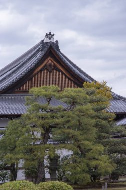 Kyoto 'daki Nijo Şatosu, nefes kesici mimarisi, bahçeleri ve zengin tarihi önemiyle tanınan UNESCO Dünya Mirası sitesidir. Japonya 'da çekildi, Kyoto, 04.2024 