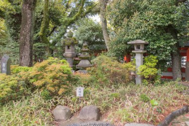 Toro, Japon Shinto tapınaklarında bulunan ve ışığı ve ruhani rehberliği simgeleyen geleneksel taş fenerlerdir.