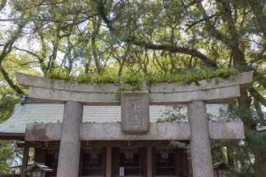 Hakkozaki-gu Fukuoka 'daki antik bir Shinto tapınağıdır, kültürel önemi ve asırlık gelenekleriyle ünlüdür. Japonya 'da çekildi, Fukuoka, 09.04.2024