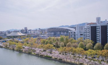 İlkbaharda, Hiroshimas silueti canlı kiraz çiçekleri tarafından çerçevelenir ve kentin modern mimarisi ile pitoresk bir tezat yaratır..