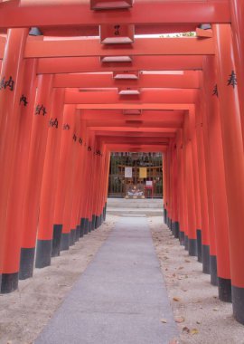 Fukuoka 'da yer alan Kushida-jinja Tapınağı, tarihi festivalleri ve yerel kültürdeki önemi ile ünlüdür. Japonya' da çekildi, Fukuoka, 09.04.2024