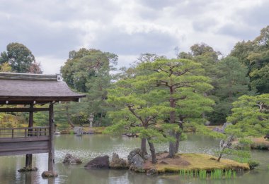Kinkaku-ji (Altın Pavyon) ilk olarak 1397 yılında bir emeklilik villası olarak inşa edildi, şimdi Japonya 'nın en ikonik simgelerinden biri ve UNESCO' nun Dünya Mirası alanlarından biri. Japonya 'da çekildi, Kyoto, 11.04.2024