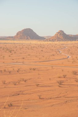 Dönek bir patika Damaraland 'ın kuru çöl manzarasını kesiyor, ağaçlarla benekli. Bu uzak vahşi doğa Namibya 'nın saf güzelliğinin gerçek bir kanıtıdır.