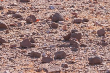 Namibya çölü, binlerce yıldır doğal süreçler tarafından şekillendirilen dağınık gri taşlara ve engebeli kaya oluşumlarına ev sahipliği yapmaktadır. Bu özellikler etrafındaki altın kumlarla keskin bir tezat oluşturarak kendine özgü bir çöl manzarası yaratır.