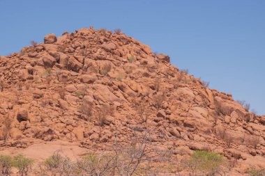 Namibya Çölü, binlerce yıldır doğal süreçler tarafından şekillendirilen dağınık kahverengi taşlara ve engebeli kaya oluşumlarına ev sahipliği yapar. Bu özellikler etrafındaki altın kumlarla keskin bir tezat oluşturarak kendine özgü bir çöl manzarası yaratır.