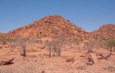 Namibya Çölü, binlerce yıldır doğal süreçler tarafından şekillendirilen dağınık kahverengi taşlara ve engebeli kaya oluşumlarına ev sahipliği yapar. Bu özellikler etrafındaki altın kumlarla keskin bir tezat oluşturarak kendine özgü bir çöl manzarası yaratır.